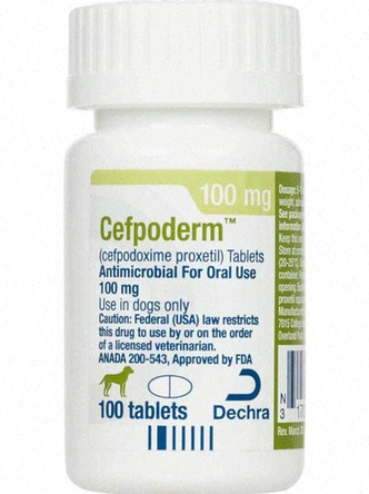 Acheter Cefpodoxime - Illustration pilule Cefpodoxime et boîte